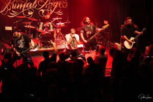 Photo Festival FoudRock 2025 - Primal Age-5.jpg